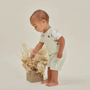 Sage Chambray Overalls-Aster & Oak-00-Little Soldiers