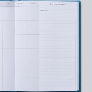 IVF Journal - Blue