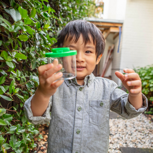 Bug Spotter Kit