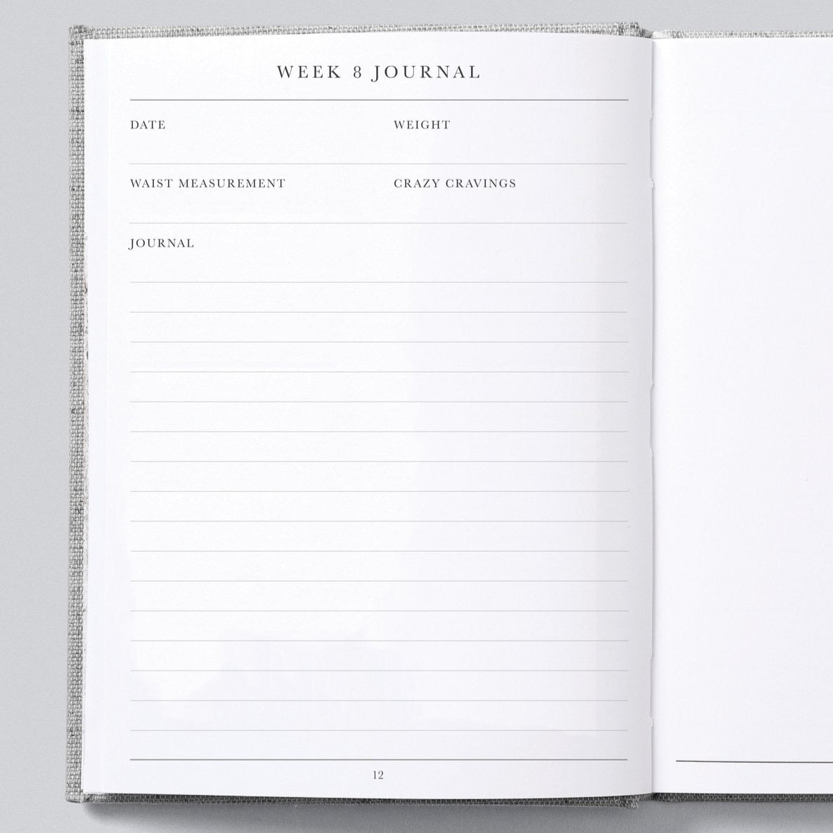 Bump. A Pregnancy Journal