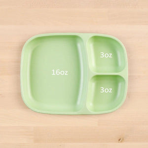 Divided Tray