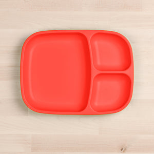 Divided Tray