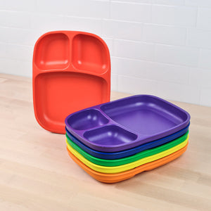 Divided Tray